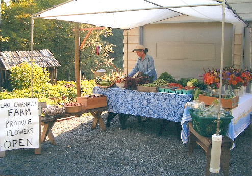 picture of Lake Cavanaugh Farm market stand